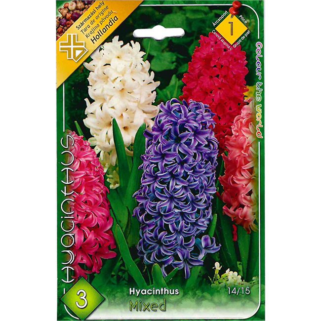 Jácint vegyes színű virághagyma 3db-os