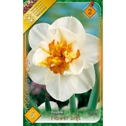 Nárcisz fehér-narancs virághagyma 5db-os