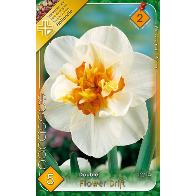 Nárcisz fehér-narancs virághagyma 5db-os